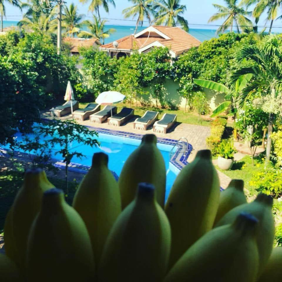 Solomon Beach Hotel Marawila Exterior photo