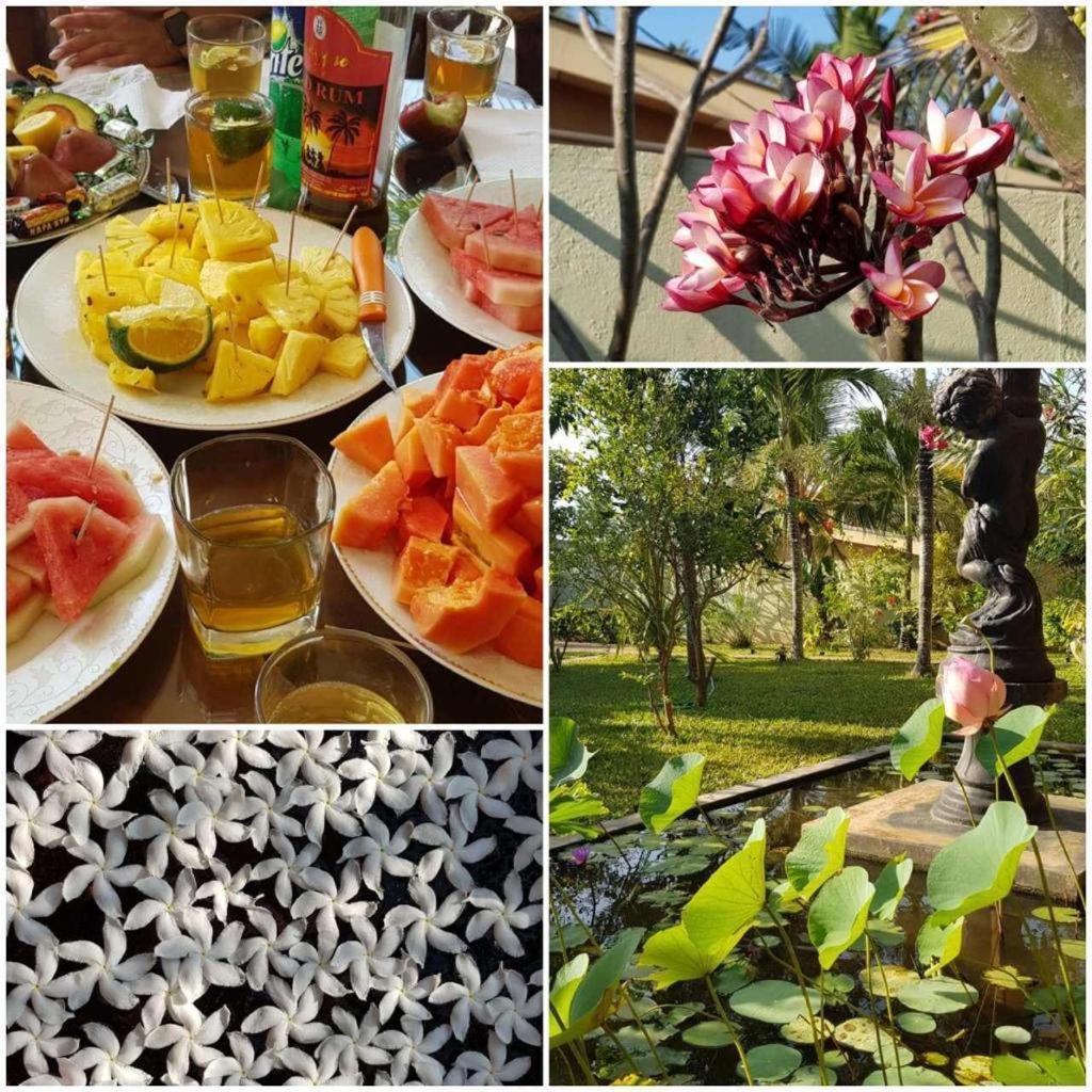 Solomon Beach Hotel Marawila Exterior photo